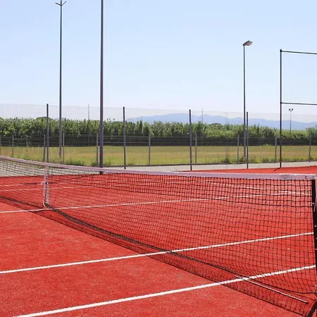 In Cecina Mare Near Sandy *